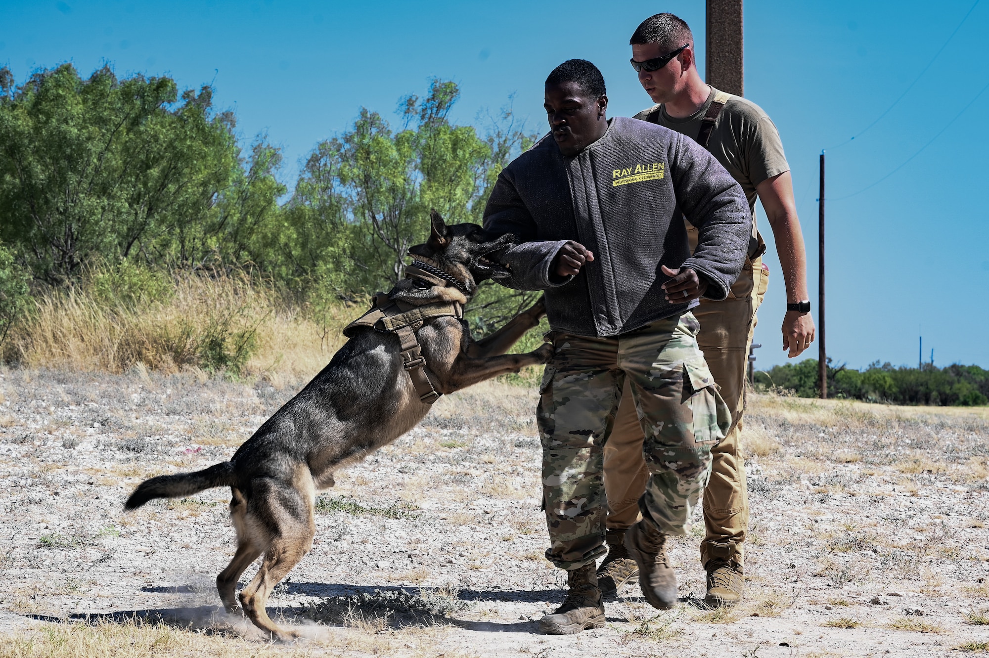 U.S. Air Force Airmen from the 47th Security Forces Squadron simulate K-9 protection capabilities during a base tour with the U.S. Border Patrol Del Rio Sector leadership and the Val Verde County Sheriff's Department at Laughlin Air Force Base, Texas, Aug. 4, 2023. The K-9 demonstration showcased the capabilities and preparedness of Laughlin’s Defenders. (U.S. Air Force photo by Airman 1st Class Keira Rossman)