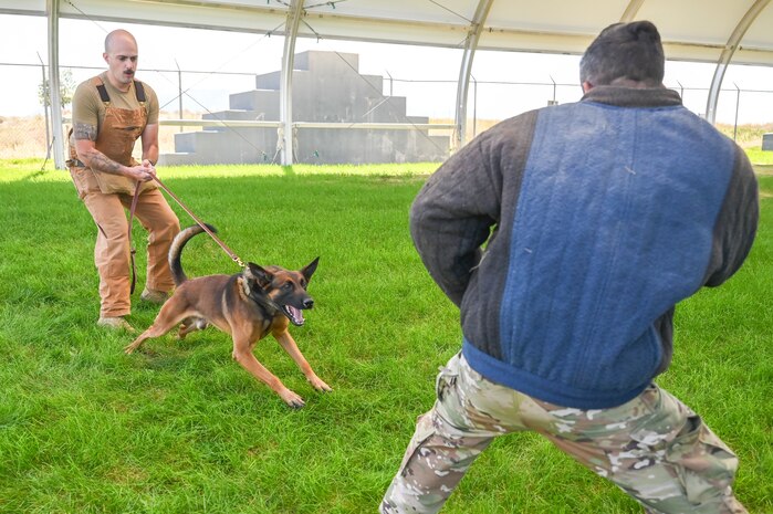 (Left) Staff Sgt. Daniel Duarte, 75th Security Forces Squadron, holds military working dog SSoto back from Staff Sgt. Edward Lopez, 75th SFS, during a training session Aug. 11, 2023, at Hill Air Force Base, Utah. MWD SSoto recently arrived at Hill AFB and just completed his first presidential mission. (U.S. Air Force photo by Cynthia Griggs)