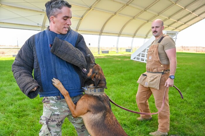 Military working dog SSoto demonstrates his bite on Staff Sgt. Edward Lopez, 75th Security Forces Squadron, with handler Staff Sgt. Daniel Duarte during a training session Aug. 11, 2023, at Hill Air Force Base, Utah.