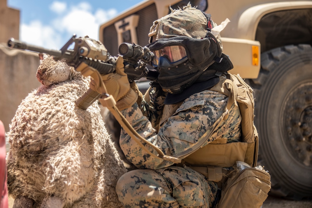 U.S. Marine Corps Cpl. Javon Covey sets security with an M4 carbine during Pololu Strike at Marine Corps Training Bellows, Hawaii, August 17, 2023. Pololu Strike is a 3d MLR exercise consisting of staff education, planning, and battalion-led field training. The training focuses on the education and development of 3d MLR and battalion staffs, deliberate planning repetitions, and execution of training and readiness standards in a field environment. Covey is a field artillery fire controlman with 3d Littoral Combat Team, 3d Marine Littoral Regiment, 3d Marine Division and is a native of Holyoke, Mass.