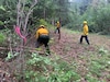 176th Wing firefighters protect Nenana from wildfires