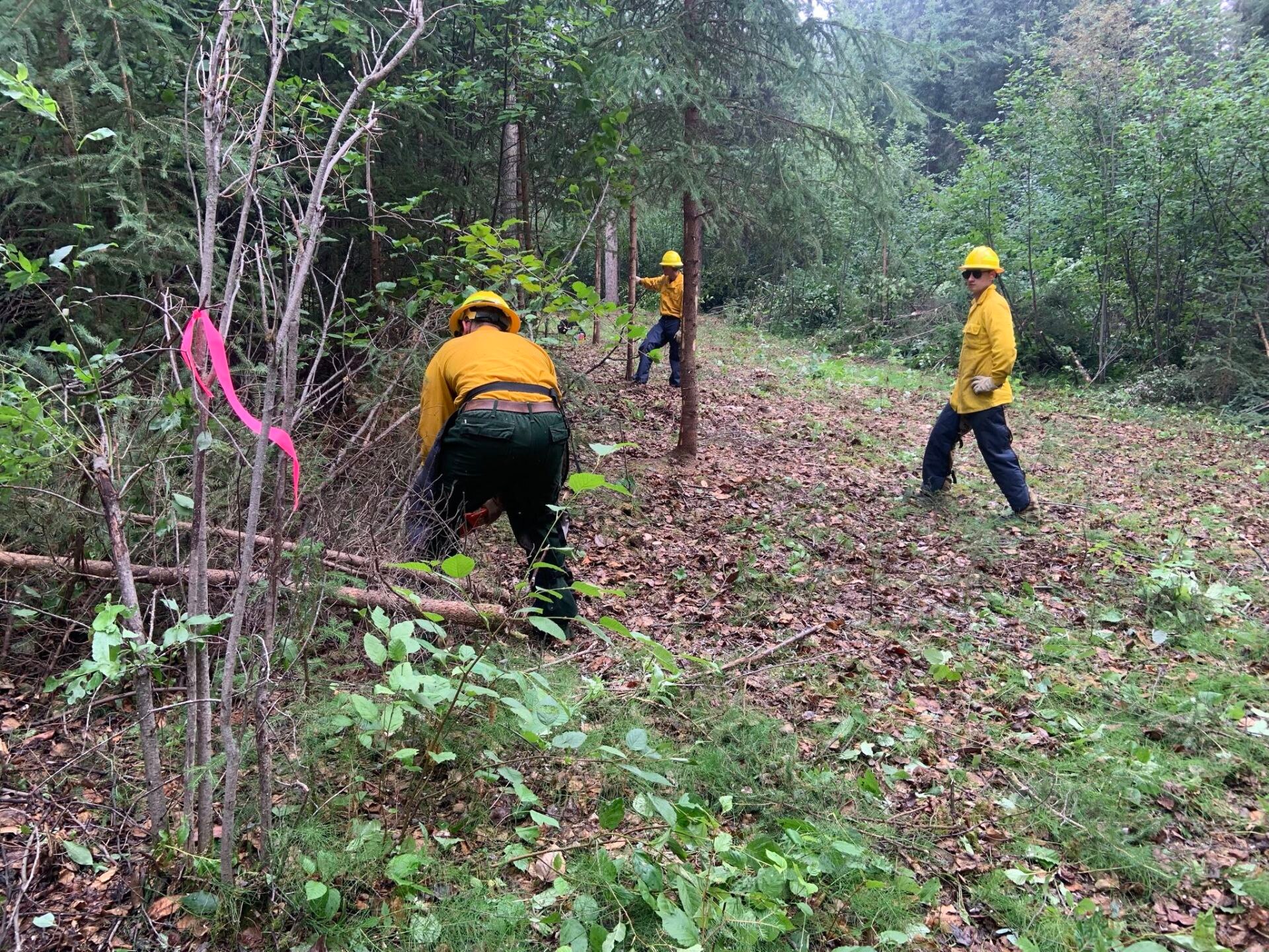 176th Wing firefighters protect Nenana from wildfires