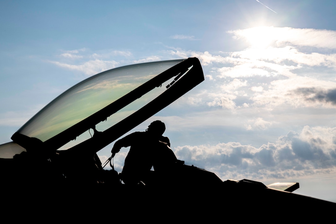 An airman and a fighter jet are silhouetted  against the sky.