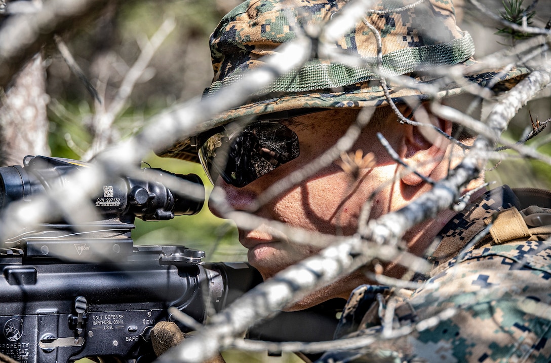 Close-up of a uniformed Marine looking through the scope of a weapon while hiding in a bush.