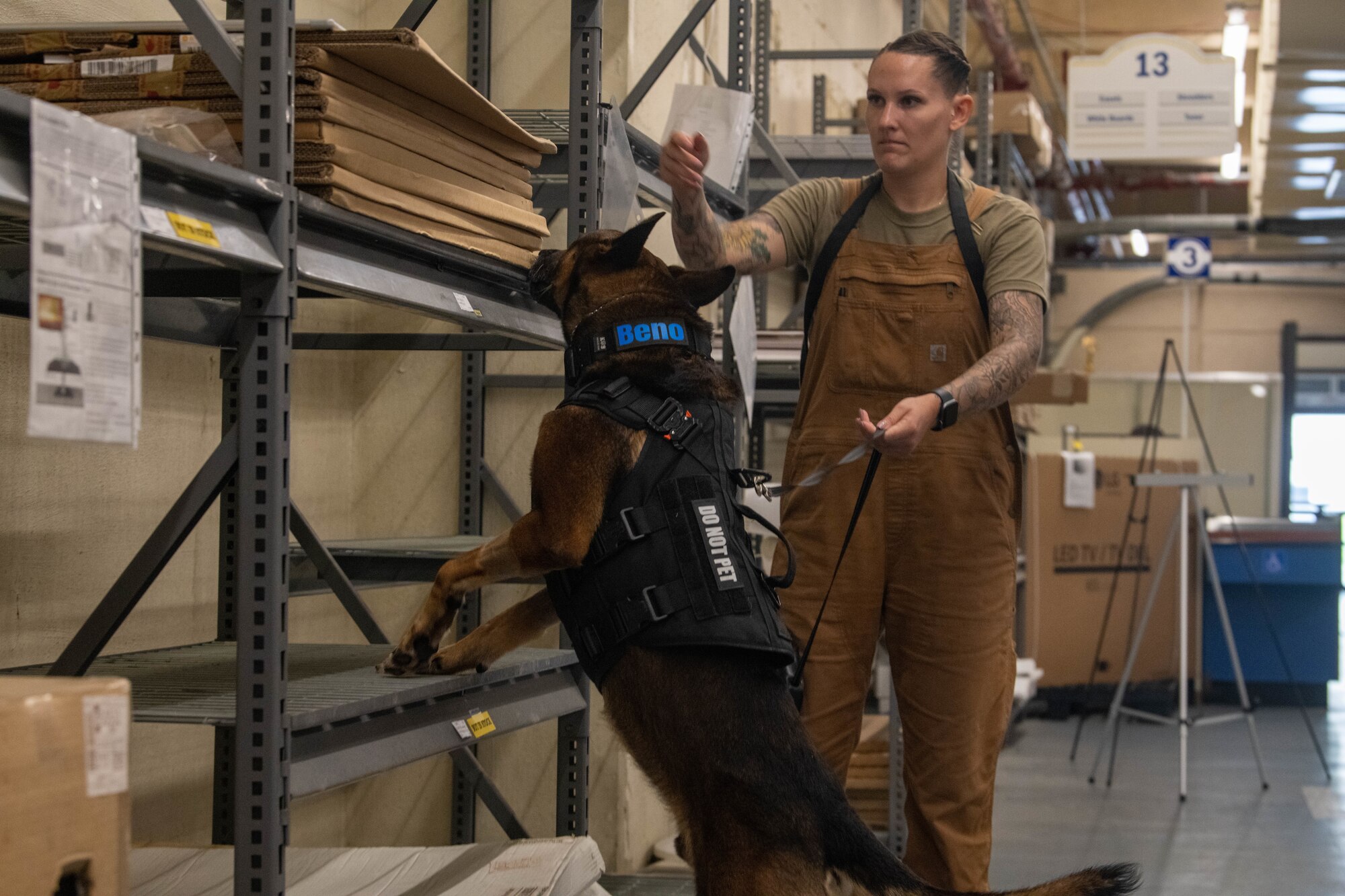 K9 unit checks high shelves