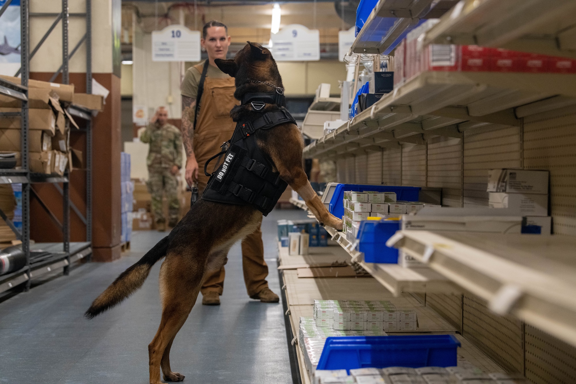 K9 unit checks high shelves