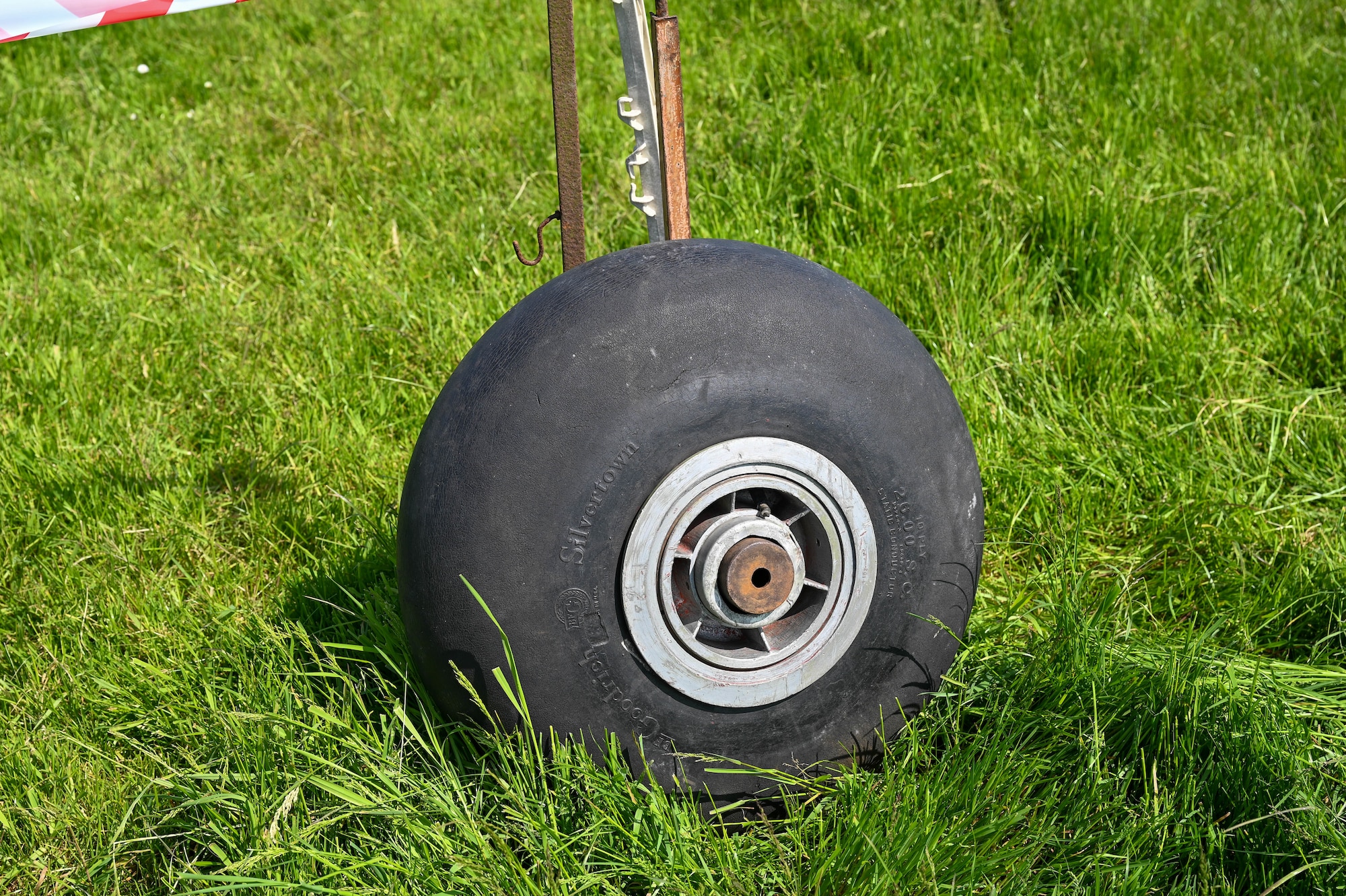 A single black wheel in a patch of green grass