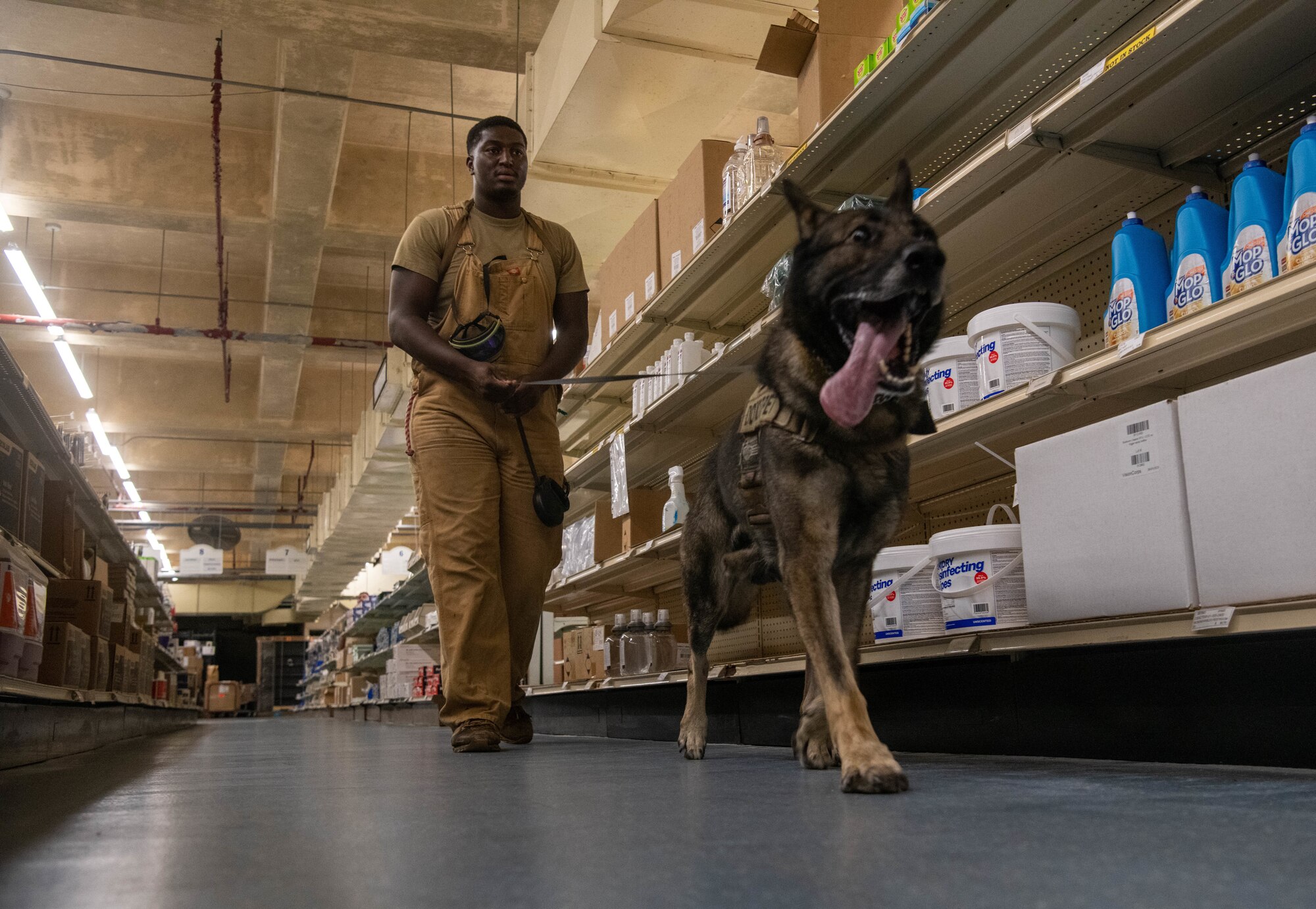 K9 unit checks eile