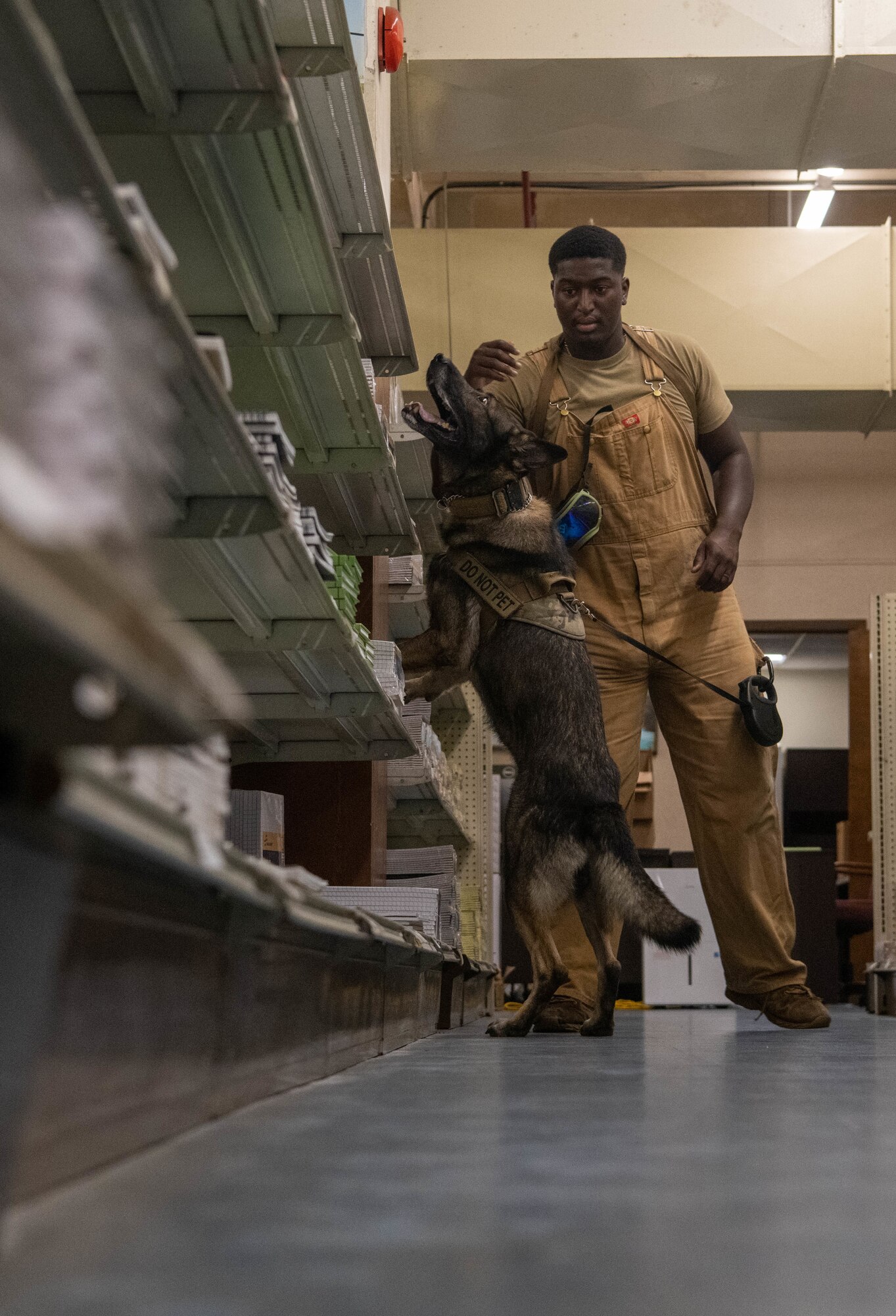 K9 unit checks high shelves