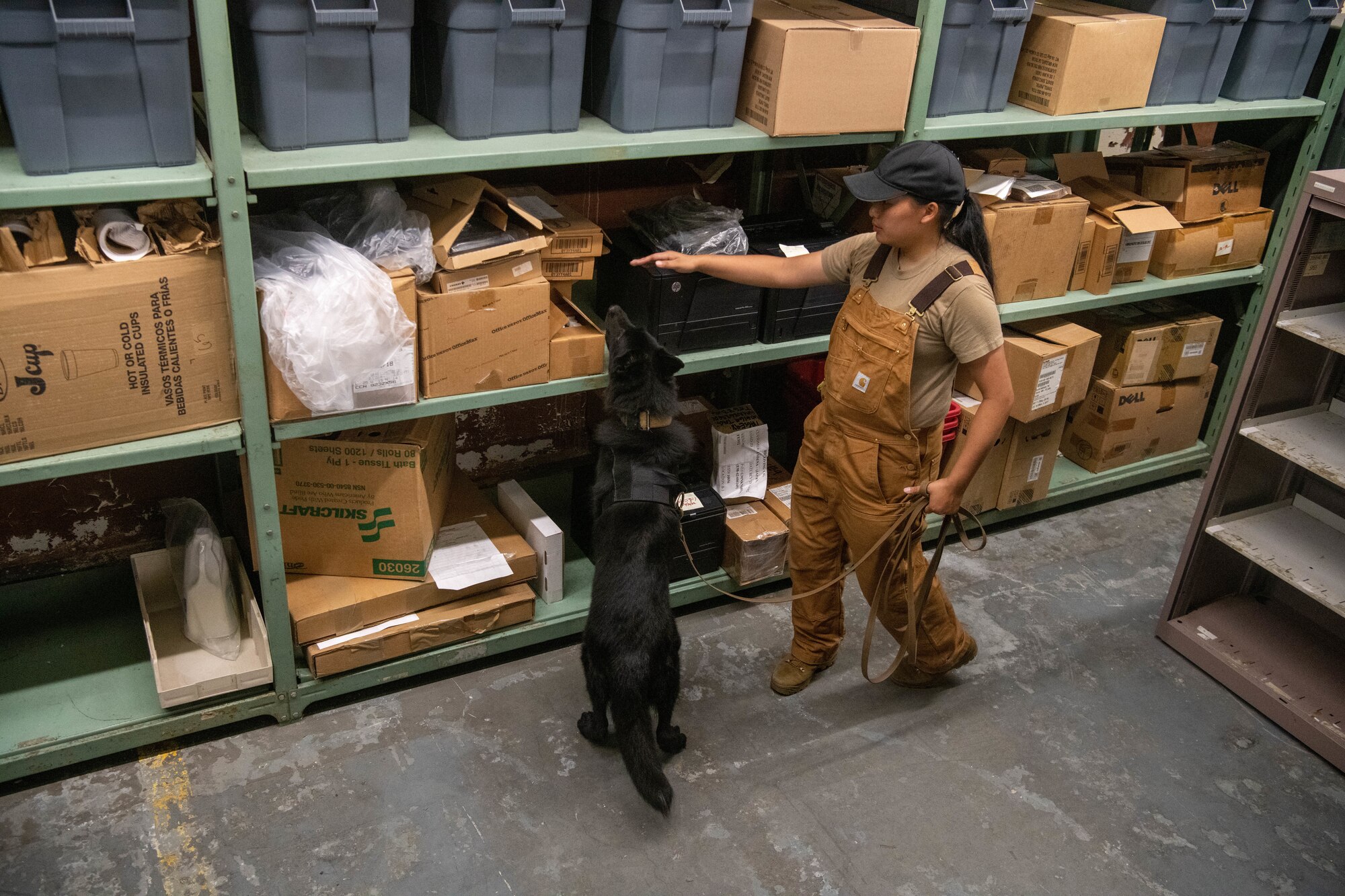 Service K9 smells shelves