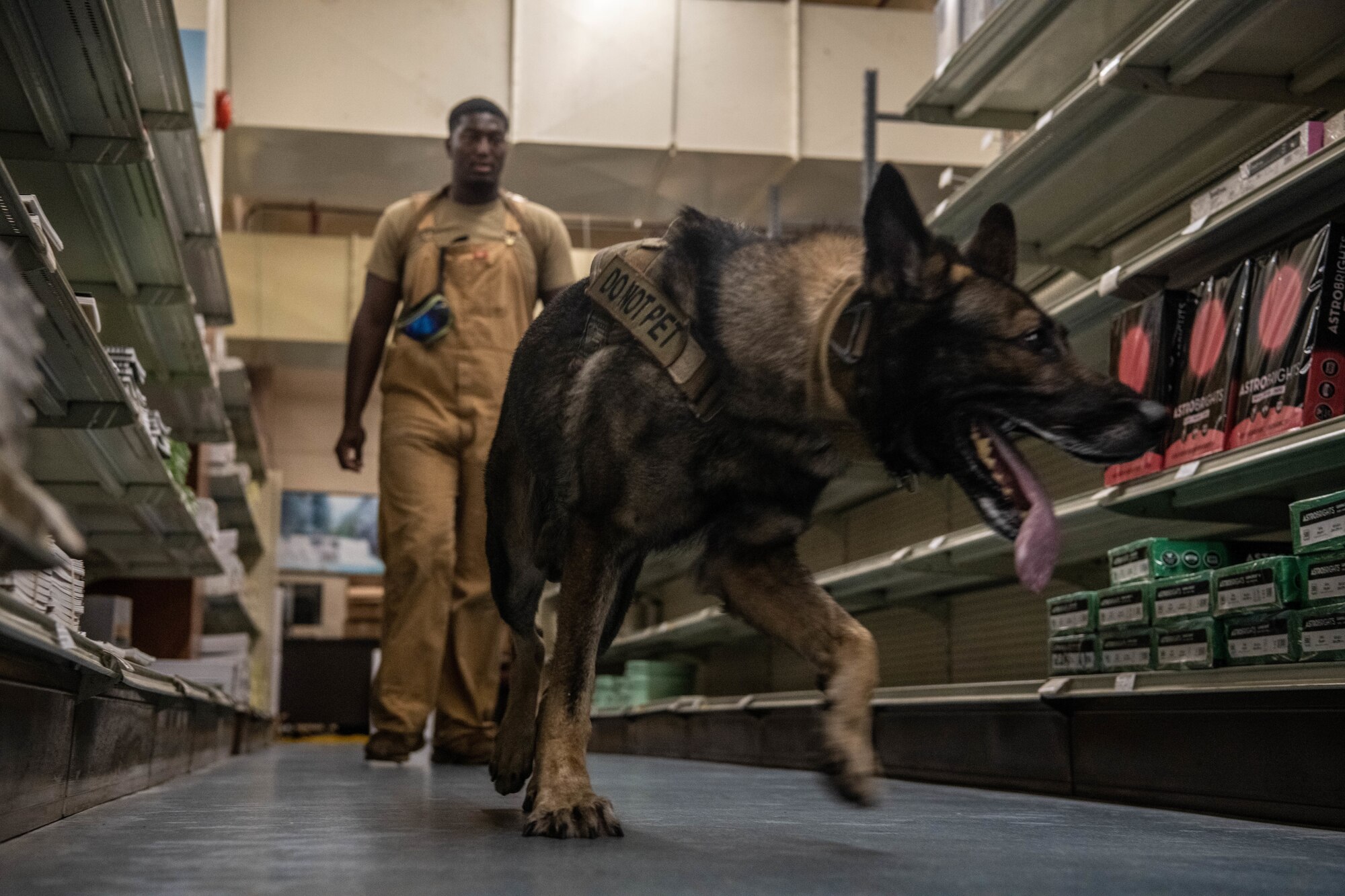 K9 unit checks Elise