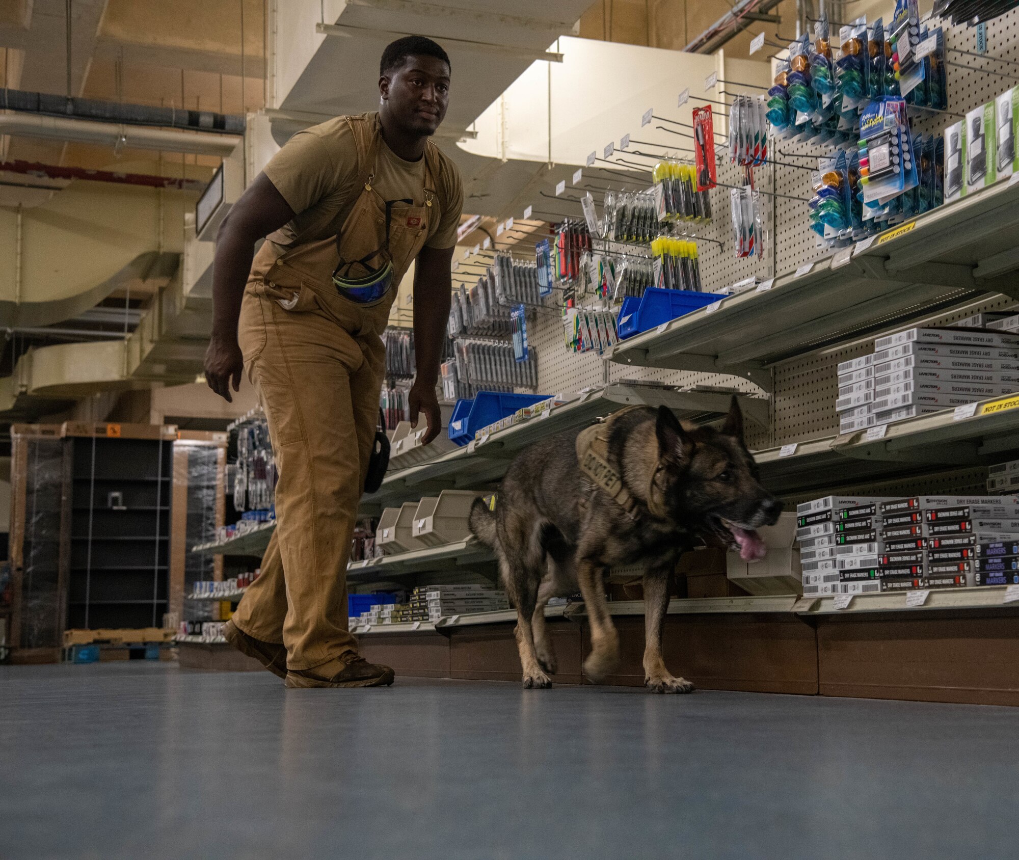 k9 unit checks eile