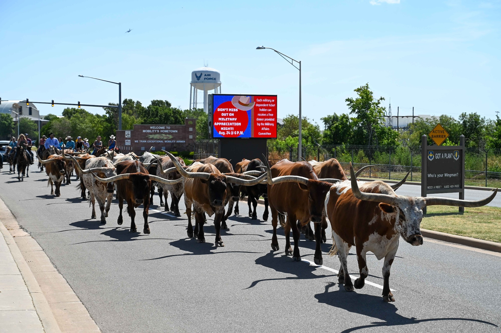 Local ranchers herd cattle off base after the 25th Annual Cattle Drive at Altus Air Force Base, Oklahoma, Aug. 24, 2023. After the American Civil War, six million cattle and one million horses traveled the ‘Great Western Cattle Trail.’ (U.S. Air Force photo by Airman 1st Class Kari Degraffenreed)