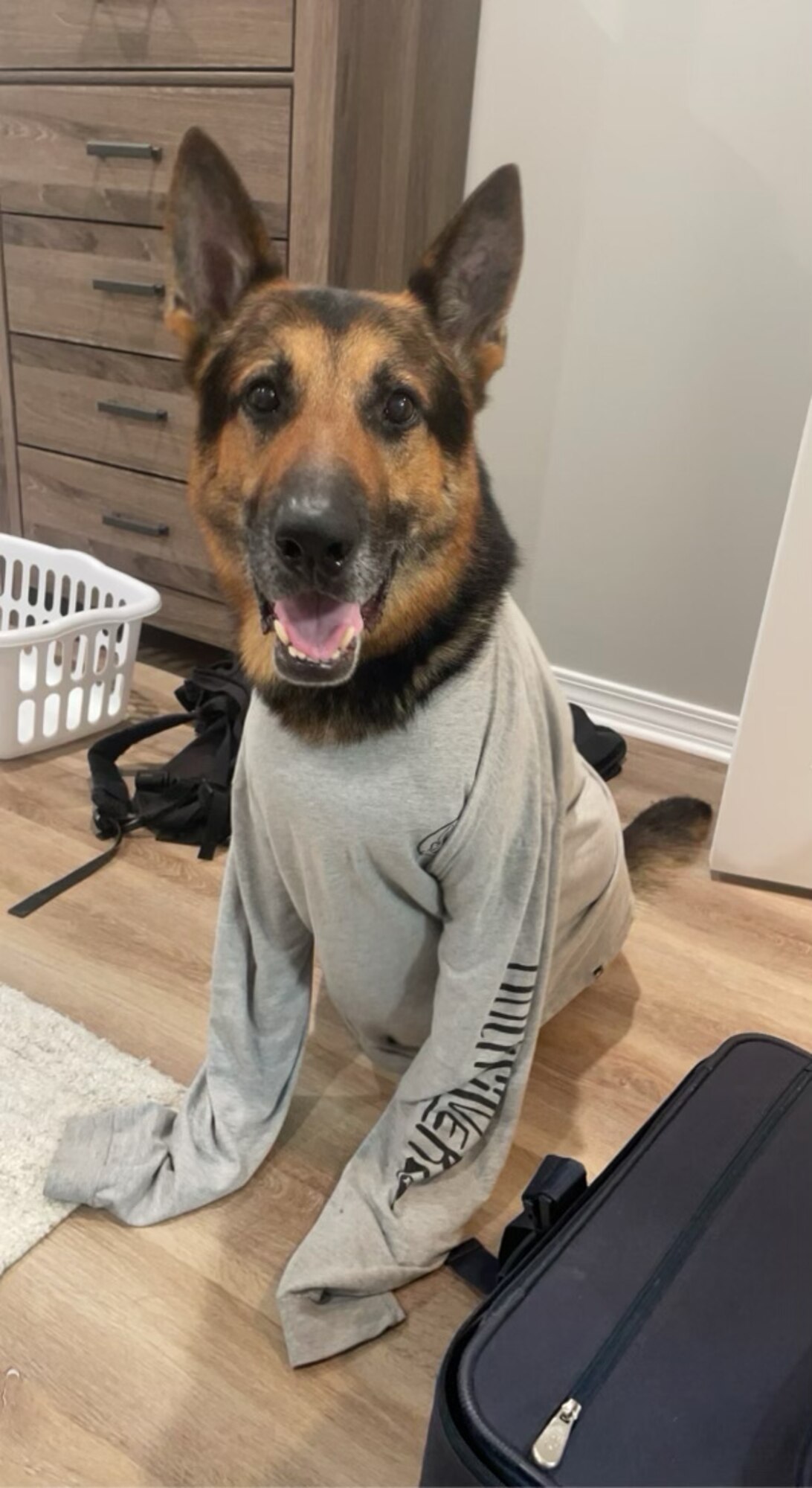 Courtesy photo of MWD Gamma.
