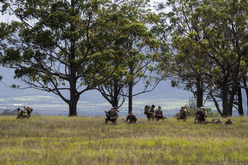 Ranger Assessment Course students learning battle drills, May 24, 2023, Schofield Barracks, Hawaii. The Air Force RAC is a 19-day course that is designed to assess the physical and mental toughness of Airmen and Guardians who are interested in attending Army Ranger School. (U.S. Air Force photo by Tech. Sgt. Hailey Haux)