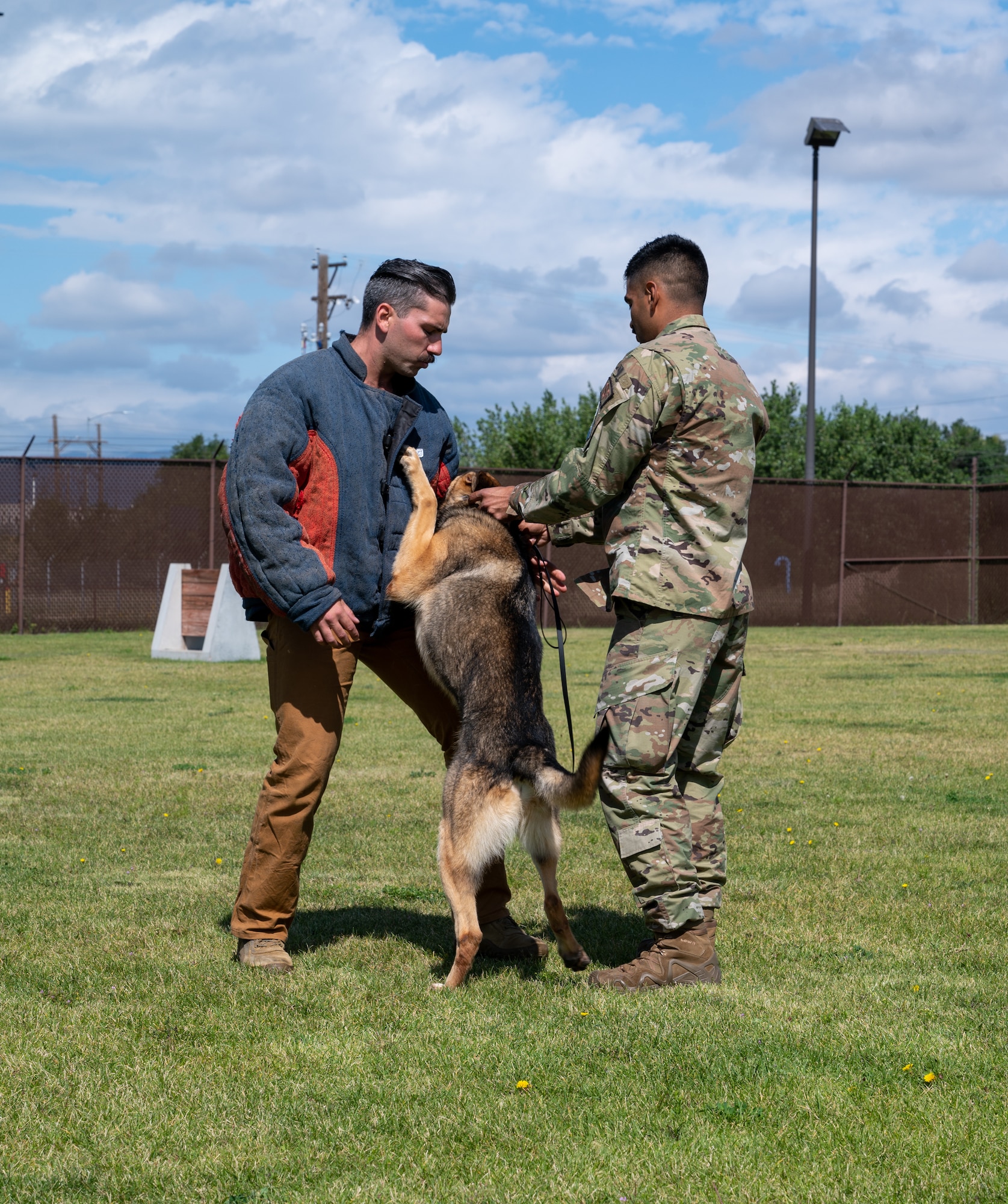A military working dog bites a handler wearing a bite suit, while another handler gives the command for release.