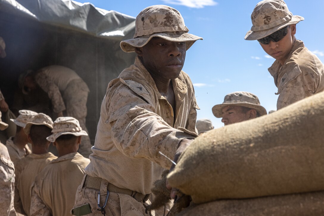 U.S. Marine Corps Pfc. Adama Anderson, a combat engineer with 1st Combat Engineer Battalion, 1st Marine Division, loads sandbags onto a truck during Adversary Force Exercise (AFX) 5-23 at Marine Corps Air-Ground Combat Center, Twentynine Palms, California, Aug. 9, 2023. AFX 5-23 tested the skills of Marines in seizing and maintaining a combat presence in urban environments by training in offensive and defensive tactics, conducing logistics in a contested environment, and utilizing mechanized infantry. (U.S. Marine Corps photo by Cpl. Jonathan Willcox)