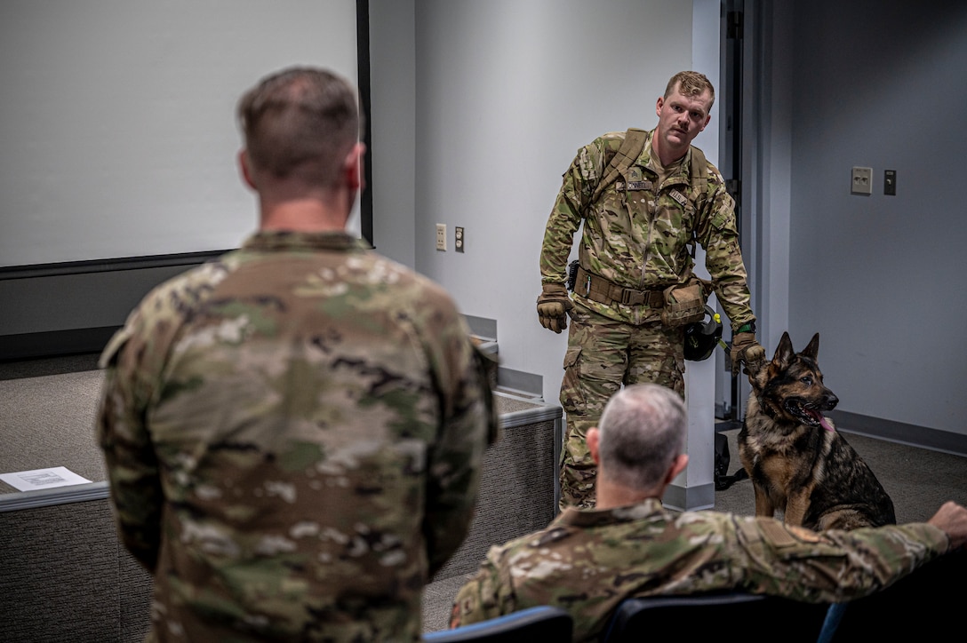 928th MWD detachment, 103rd AW conduct joint working dog training