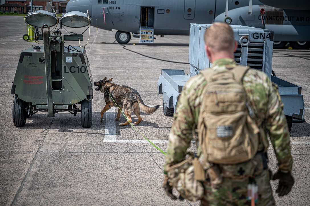 928th MWD detachment, 103rd AW conduct joint working dog training