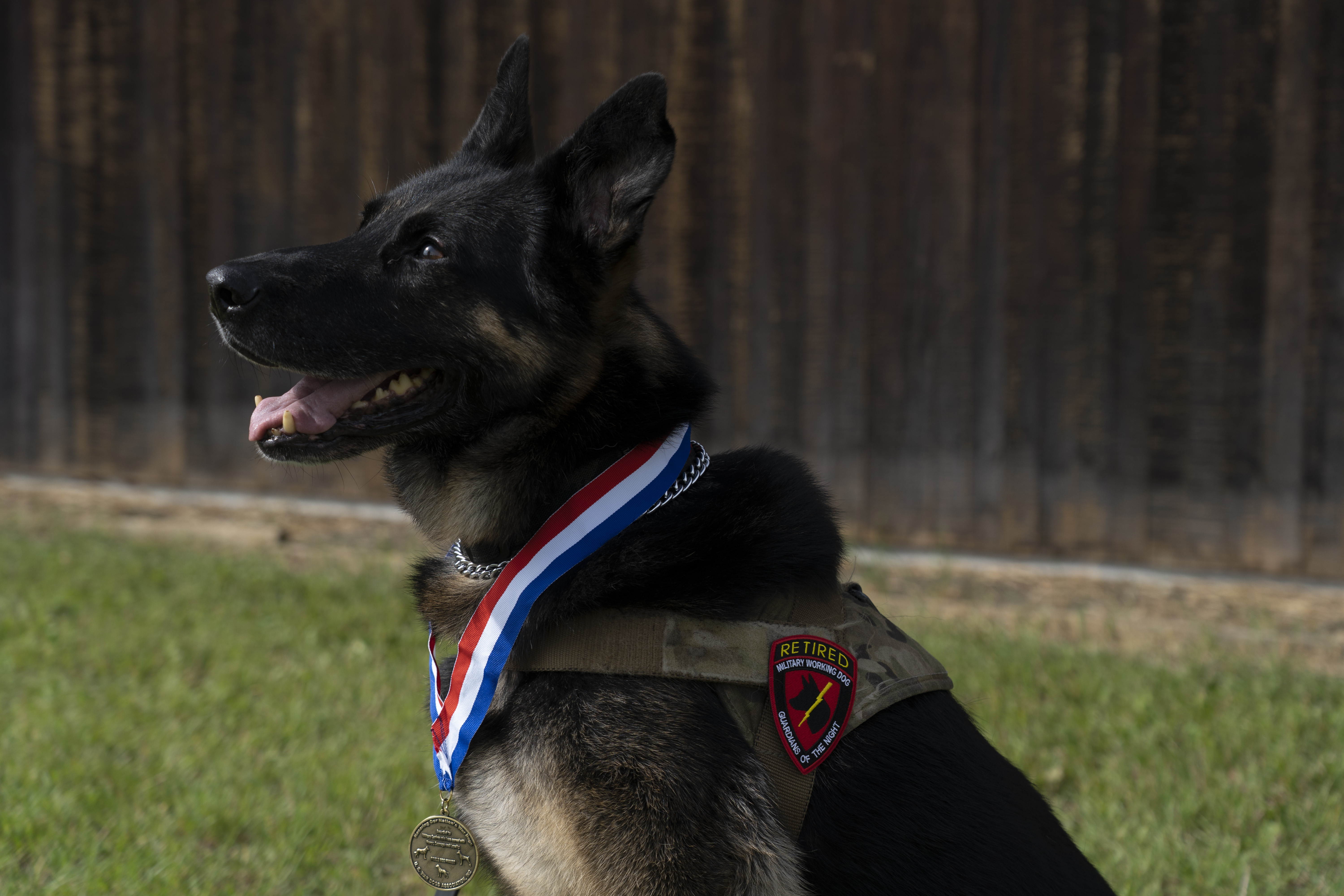 Military Working Dogs: Guardians of the Night, Article