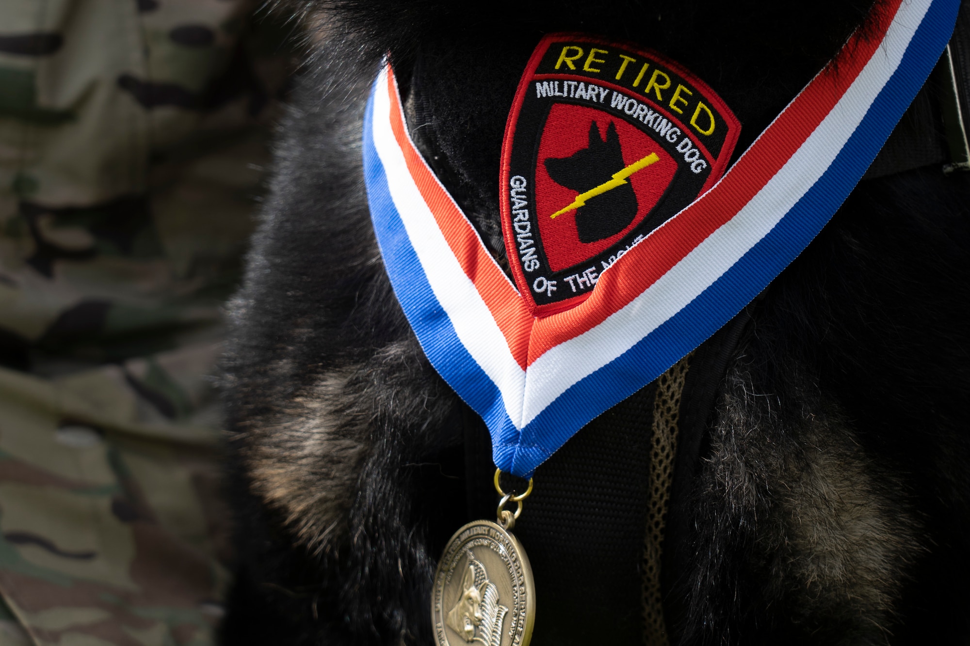 Photo of military working dog retirement ceremony