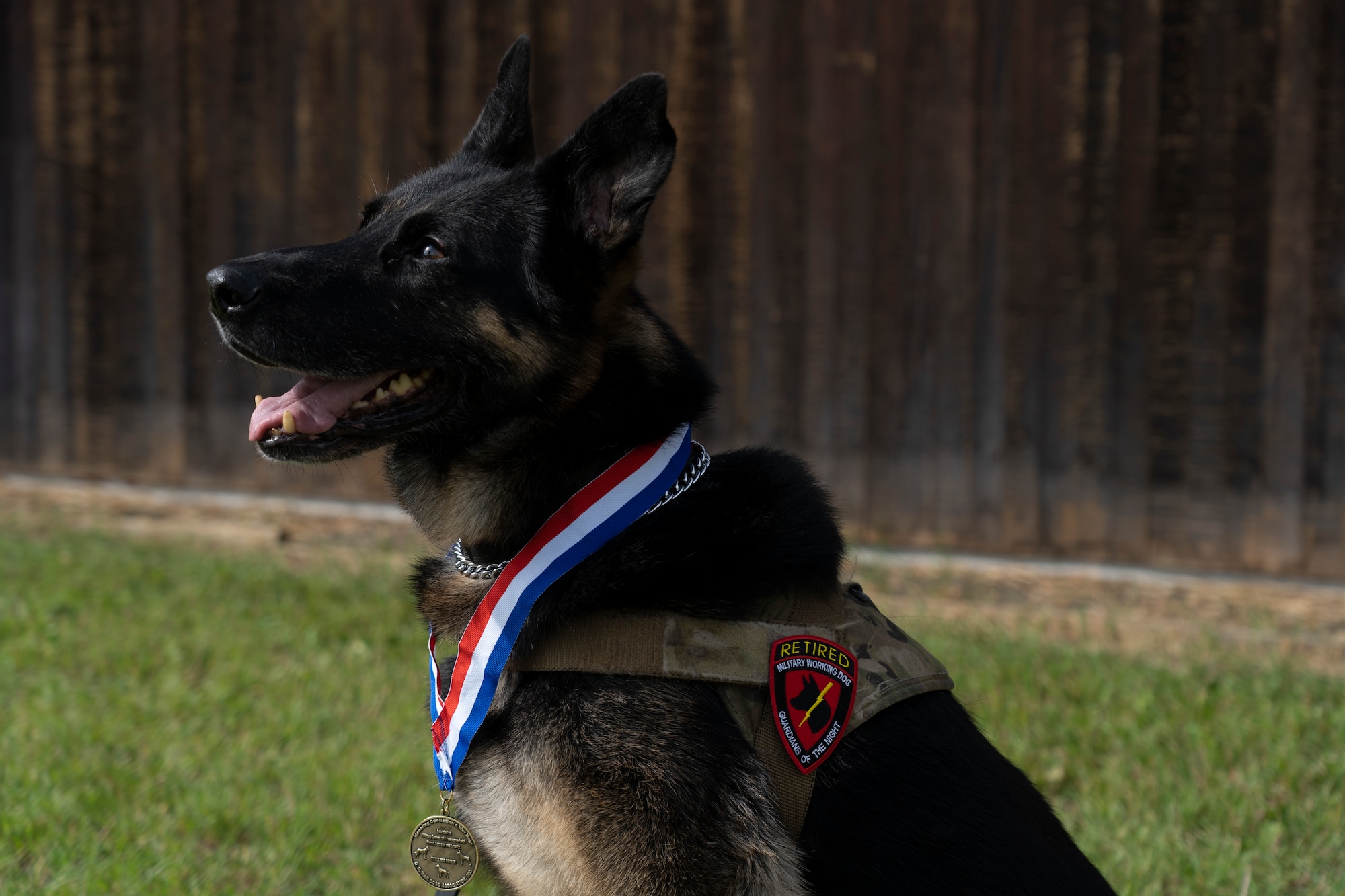 Photo of military working dog retirement ceremony