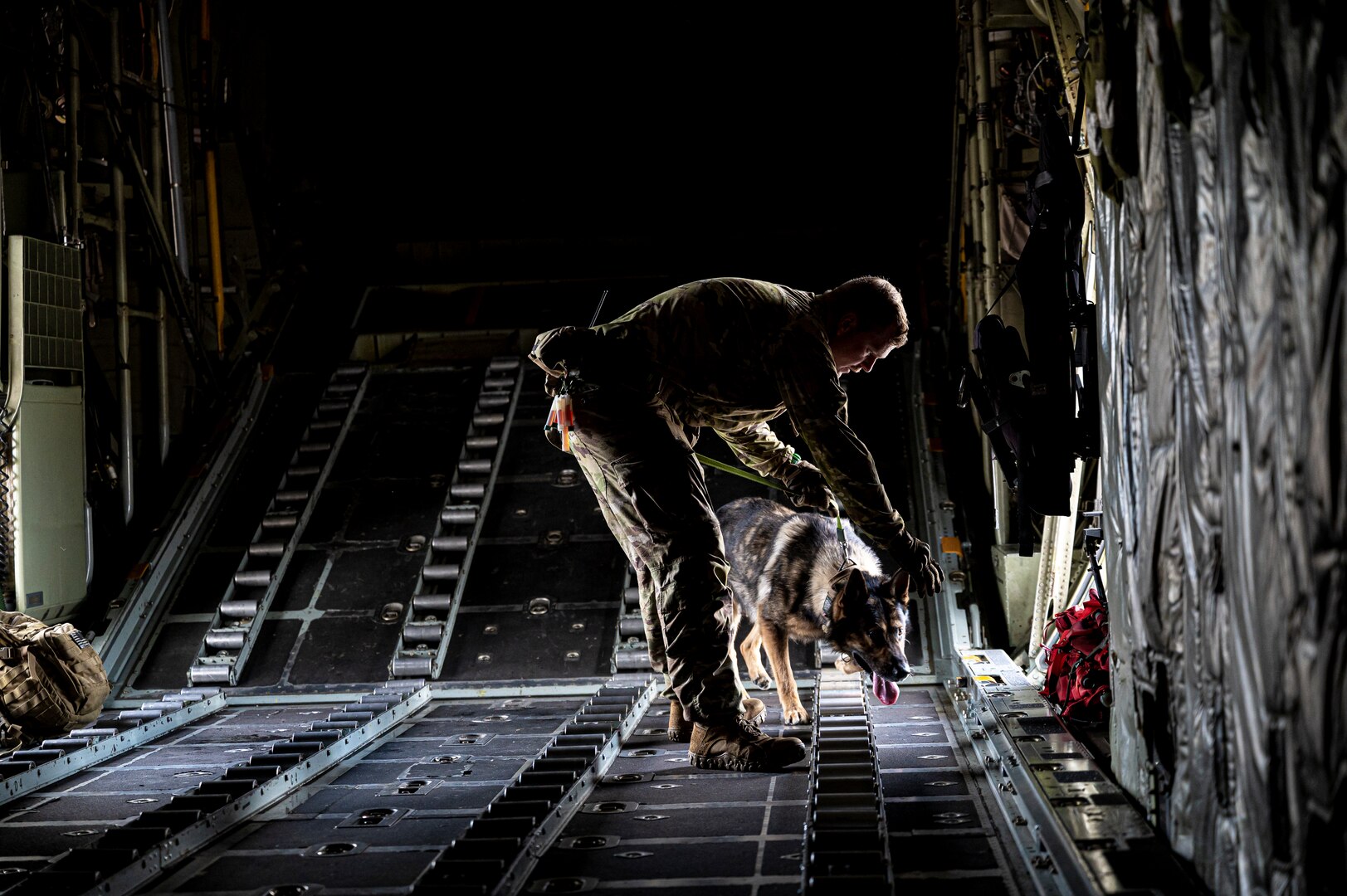 U.S. Army Sgt. Kevin O'Connell and his working dog, Misha, search a C-130H aircraft for simulated explosives during a training event at Bradley Air National Guard Base, East Granby, Conn. Aug. 29, 2023.