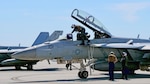 Naval Air Station Lemoore, California, announced the return of Carrier Air Wing (CVW) 17 and Strike Fighter Squadrons (VFA) 22, VFA-94, VFA-137 and VFA-146 in June after a nearly seven-month deployment to the Western Pacific with USS Nimitz (CVN-68) Carrier Strike Group (CSG-11).