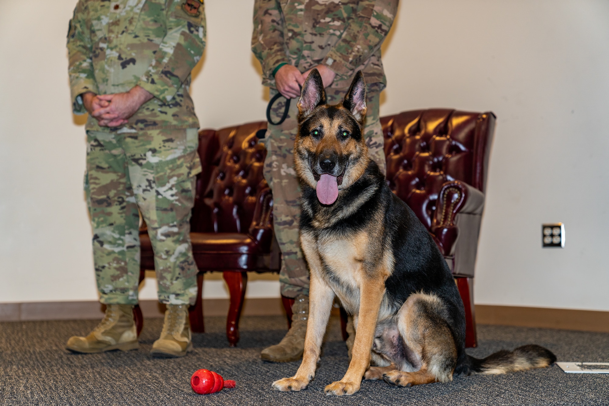 U.S. Air Force military working dog Gamma, 81st Security Forces Squadron, sits next to his handler Technical Sgt. Garon Metcalf, 81st SFS, NCO in charge, during his retirement ceremony at Keesler Air Force Base, Mississippi, Aug. 25, 2023.