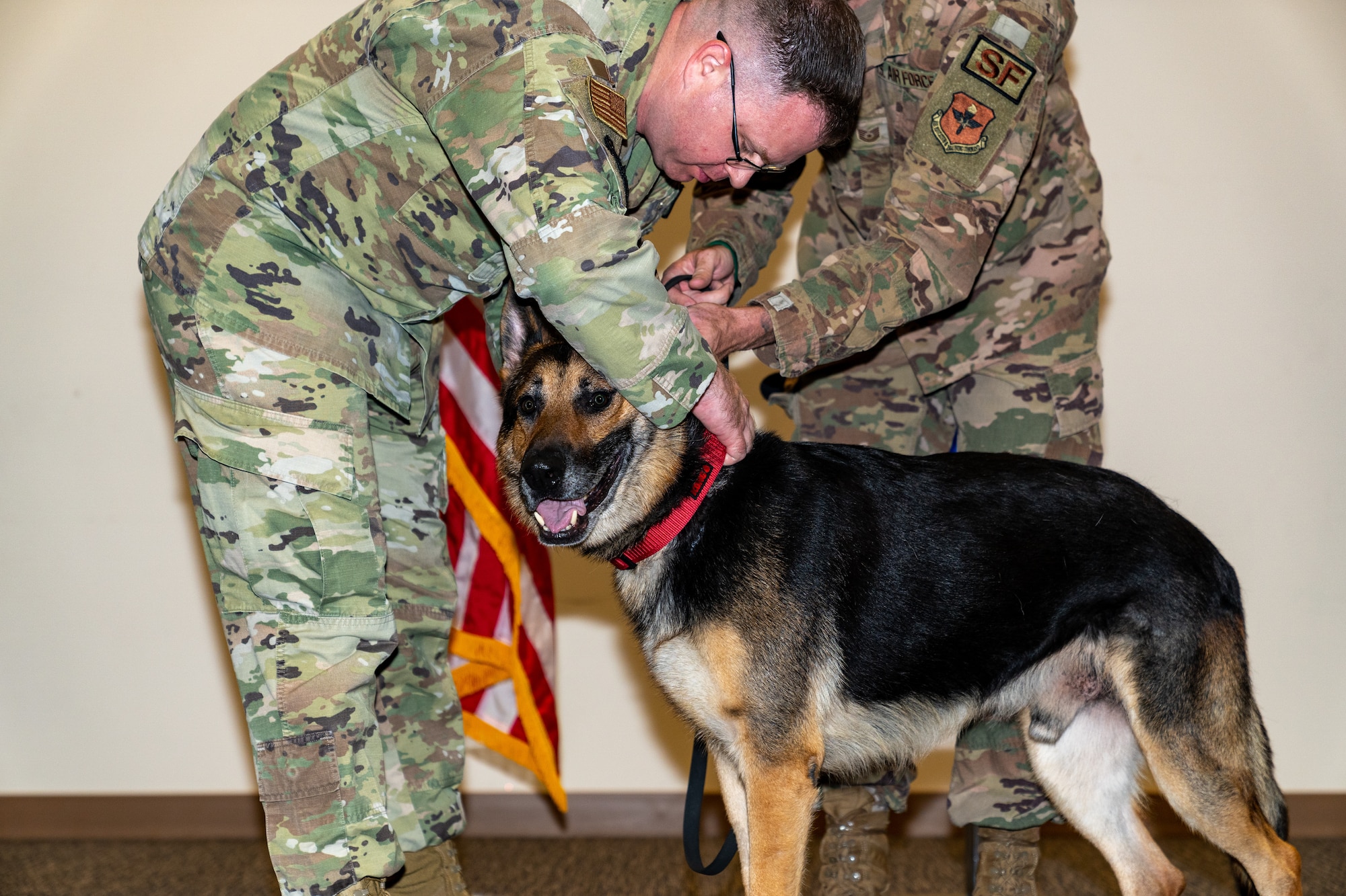U.S. Air Force Maj. Shaun O’Dell, 81st Security Forces Squadron, defense force commander, and Technical Sgt. Garon Metcalf, 81st SFS, NCO in charge, change Gamma’s, 81st SFS, military working dog, collar during his retirement ceremony at Keesler Air Force Base, Mississippi, Aug. 25, 2023.