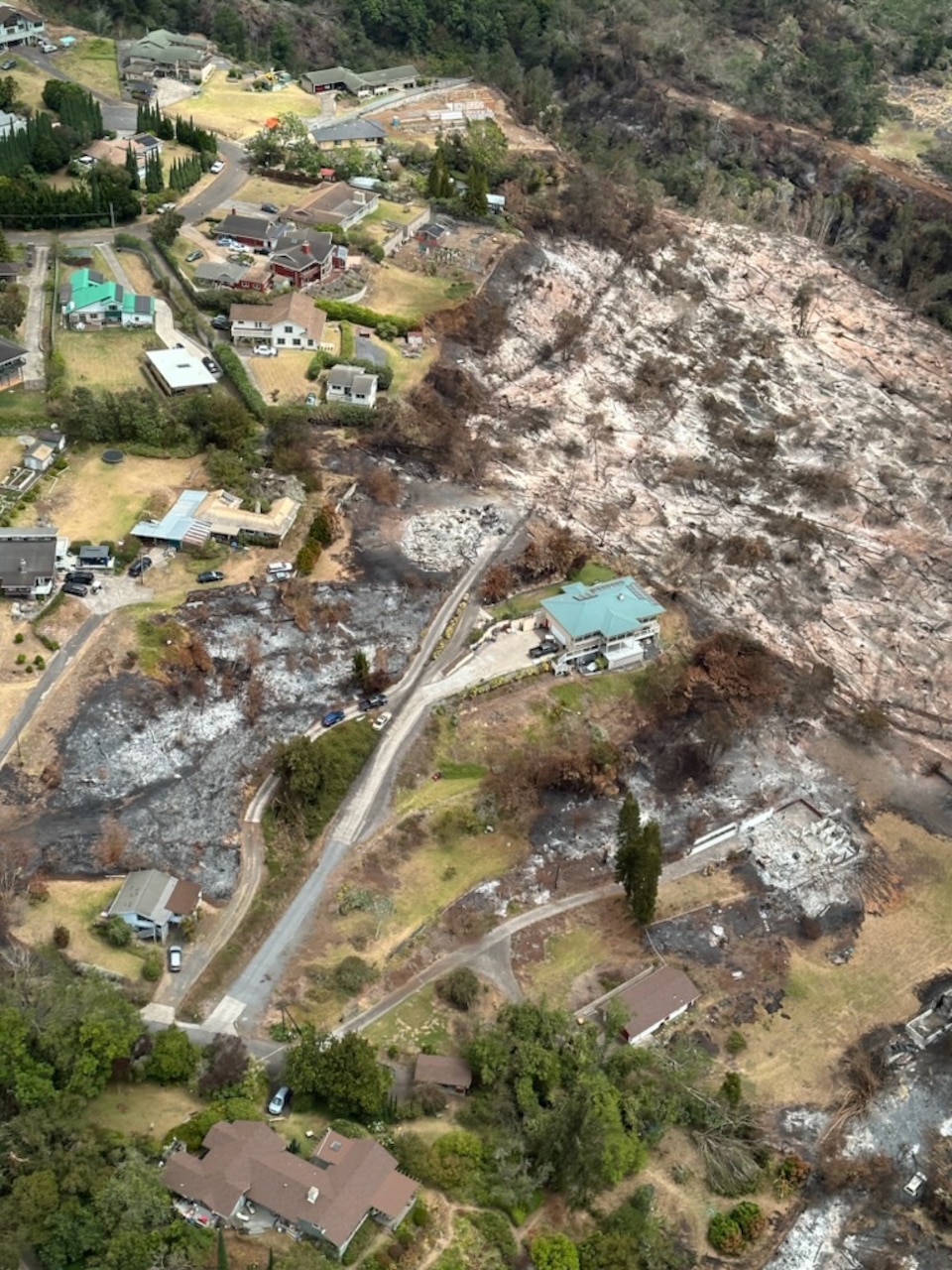 An aerial view shows the aftermath of a fire.