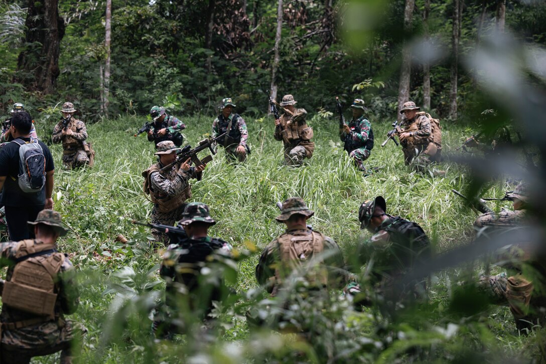 Marines point weapons in various directions in a jungle clearing.