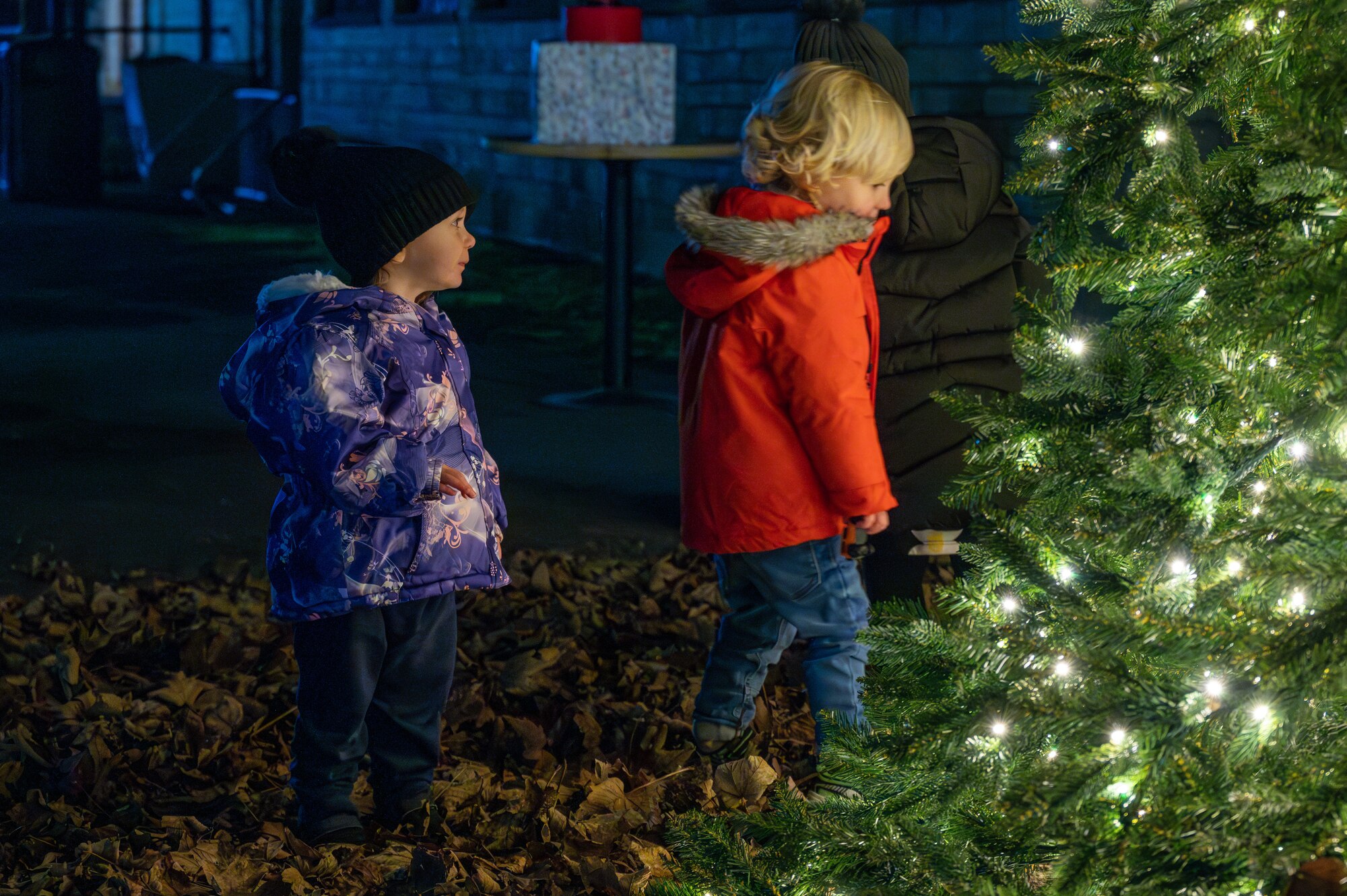 Children gaze at the lights after a tree lighting ceremony.