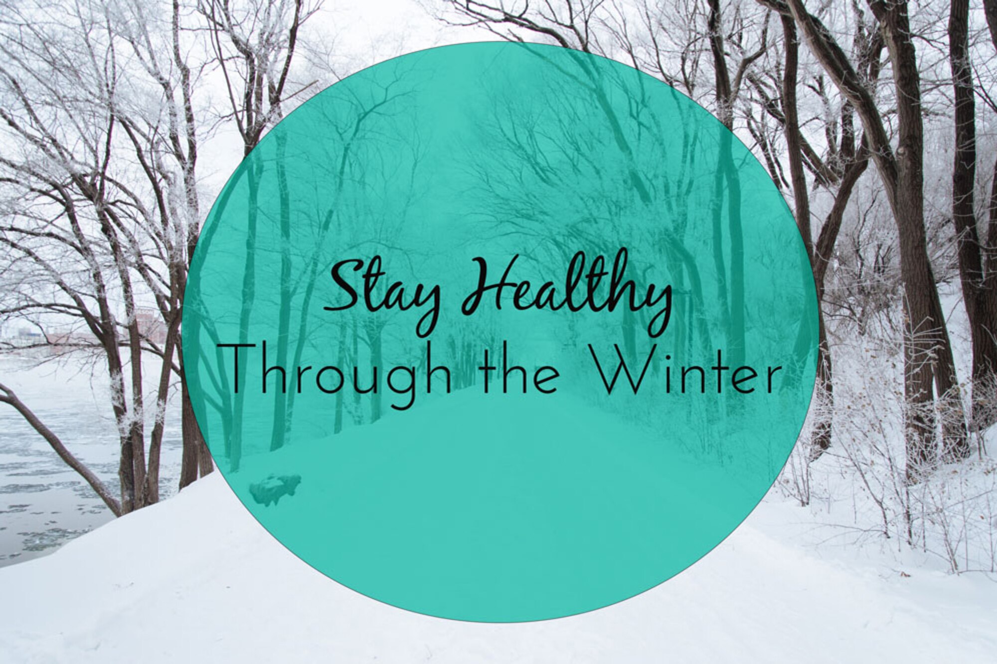 Trees in the snow with a green dot in the center with the writing, Stay Healthy the Winter.