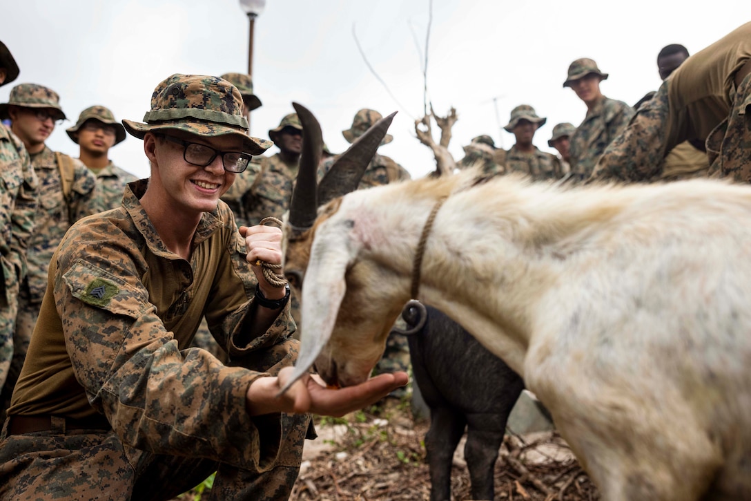 A Marine kneels to feed a goat as dozens of U.S. and Philippine marines gather in the background to watch.