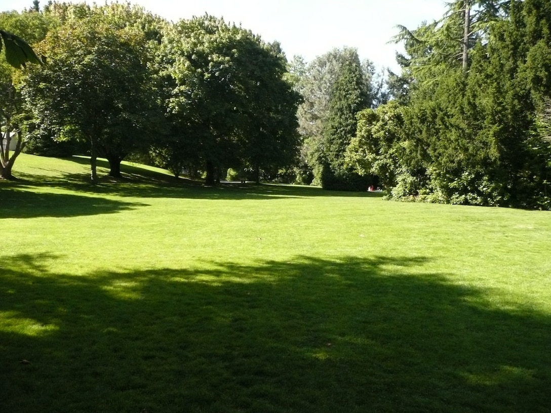 Photo of the Charles S. English Jr. Botanical Garden grounds.