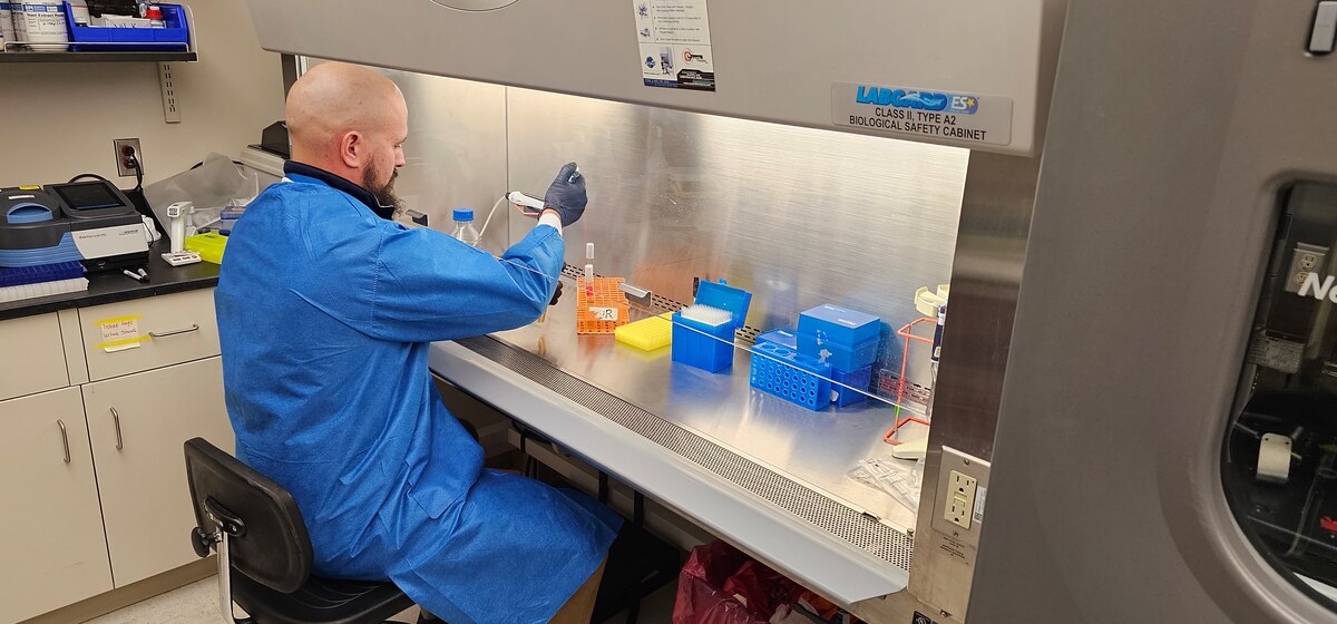 Richard Agans, senior research biologist at the United States Air Force School of Aerospace Medicine, or USAFSAM, studies samples in the microbiology lab Nov. 29, 2023. USAFSAM is collaborating with Georgia Tech and the Georgia Tech Research Institute on a new research project to develop modified strains of probiotic bacteria to help fight against influenza. (U.S. Air Force photo / Matt Roberts)