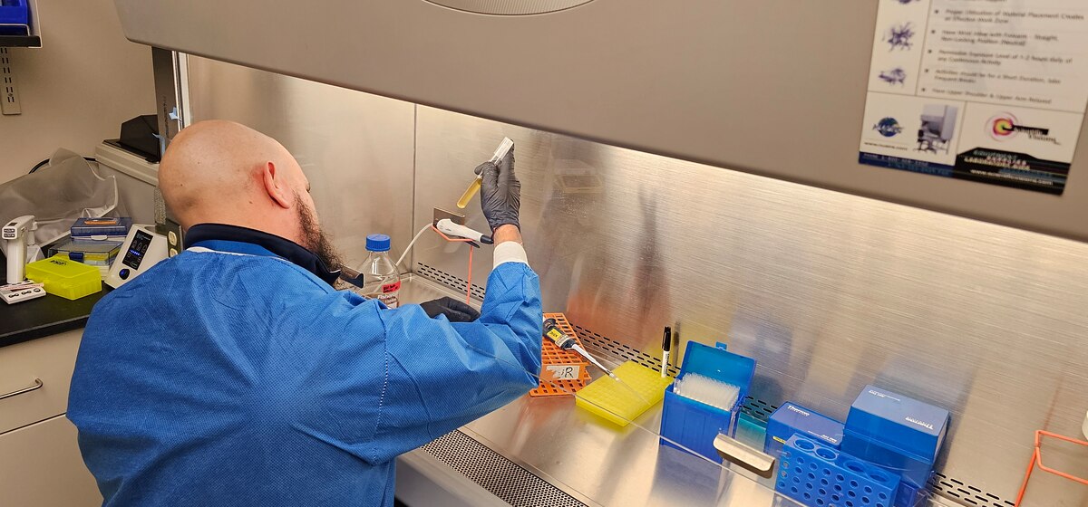 Richard Agans, senior research biologist at the United States Air Force School of Aerospace Medicine, or USAFSAM, studies samples in the microbiology lab Nov. 29, 2023. USAFSAM is collaborating with Georgia Tech and the Georgia Tech Research Institute on a new research project to develop modified strains of probiotic bacteria to help fight against influenza. (U.S. Air Force photo / Matt Roberts)