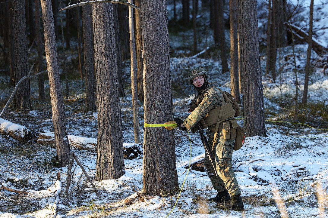 A solider puts explosive materials around  a tree.