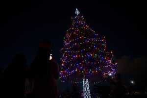 A tree is lit up with holiday lights.