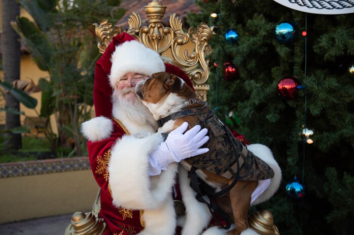 U.S. Marine Corps Pfc. Bruno, the Marine Corps Recruit Depot San Diego and the Western Recruiting Region, asks Santa for a holiday treat at MCRD San Diego, Dec. 2, 2023. Bruno spread holiday cheer to base personnel and their families during MCRD San Diego’s Holiday Express Celebration. (U.S. Marine Corps photo by Cpl. Elliott A. Flood-Johnson)