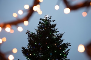 A tree is lit up