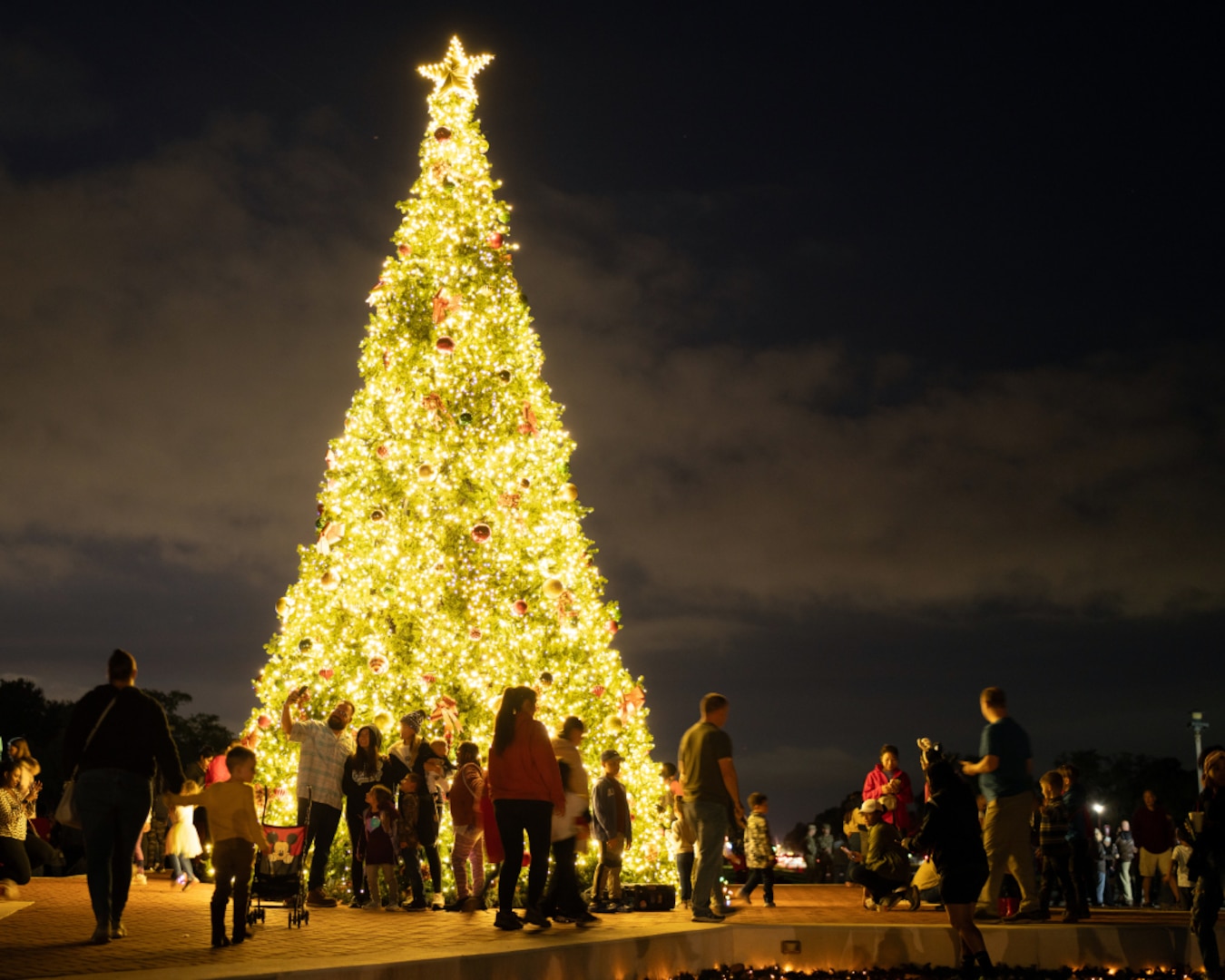 Holiday Tree Lighting