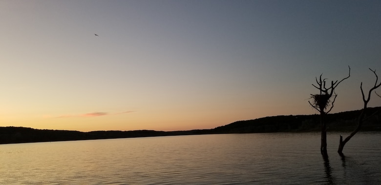 A nest of sticks sits in a dead tree in the water on the right hand side with water and the sky at dusk in the background.