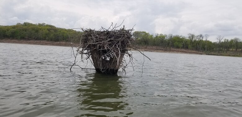 A nest of sticks sits in a dead tree in the water with trees in the background.