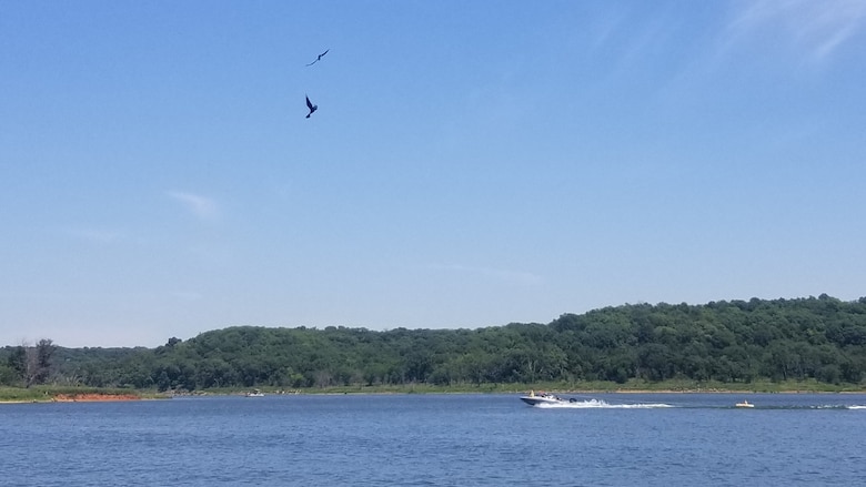 A bird is in the upper left side with trees and a blue sky in the background. A speed boat is in the lower right side with water in the background.