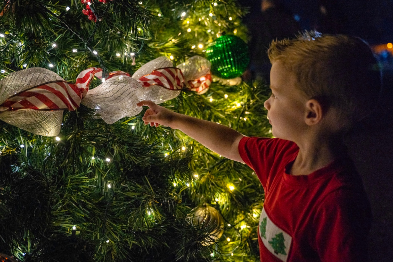 Holiday Tree lights