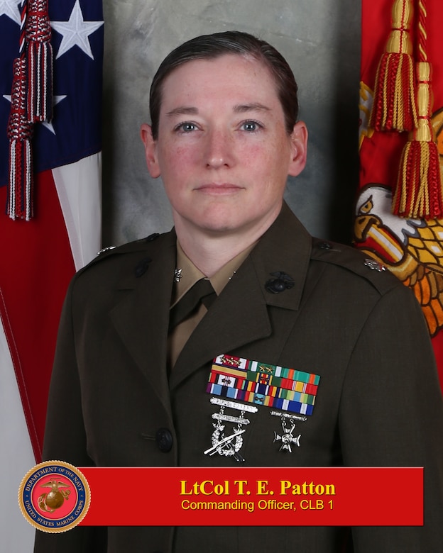 Lieutenant Colonel T E Patton 1st Marine Logistics Group Leaders