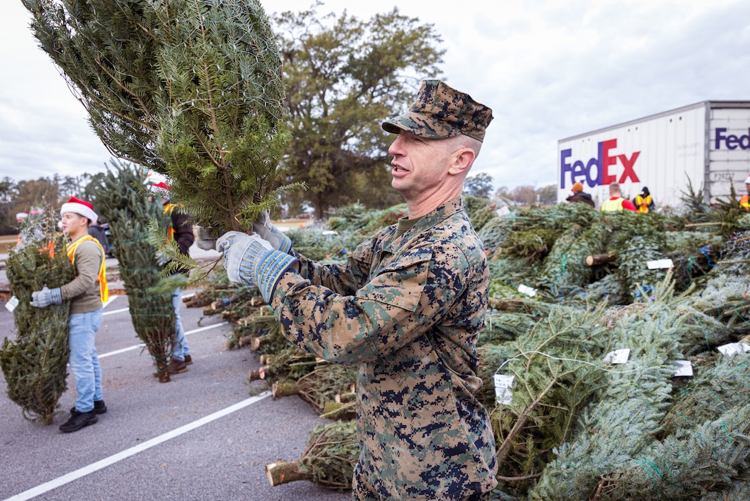 U.S. Marine Corps Sgt. Maj. David A. Wilson, sergeant major, II Marine Expeditionary Force, holds a Christmas tree during the Trees for Troops event on Marine Corps Base (MCB) Camp Lejeune, North Carolina, Dec. 1, 2023.  Trees for Troops is an annual event held by the Christmas SPIRIT Foundation providing approximately 1,000 Christmas trees to Department of Defense personnel on MCB Camp Lejeune and Marine Corps Air Station New River with a mission to spread Christmas spirit throughout every military family. (U.S. Marine Corps photo by Lance Cpl. Loriann Dauscher)