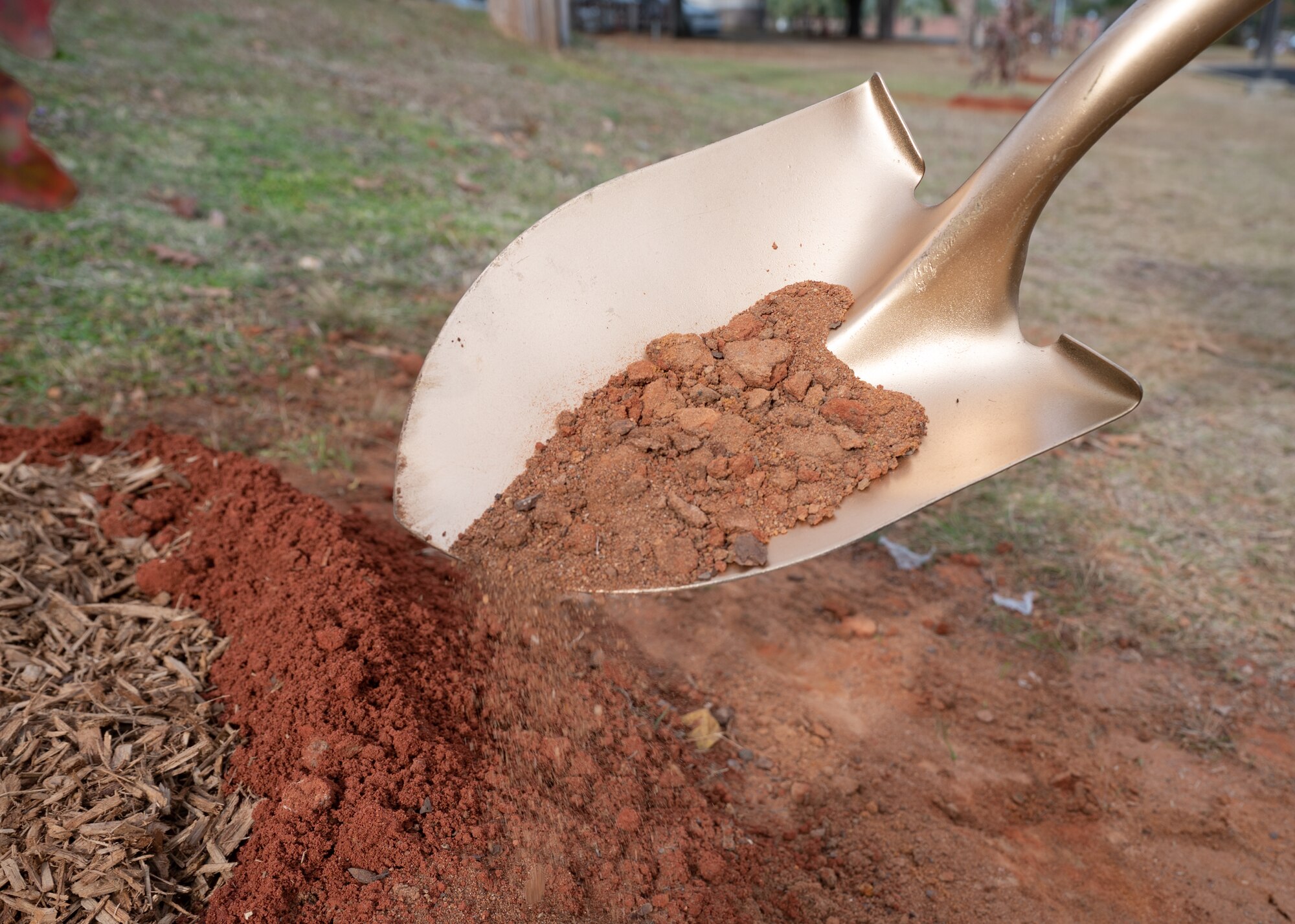 A close-up shot of a shovel dumping dirt at the base of a tree.